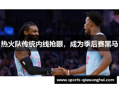 热火队传统内线抢眼，成为季后赛黑马