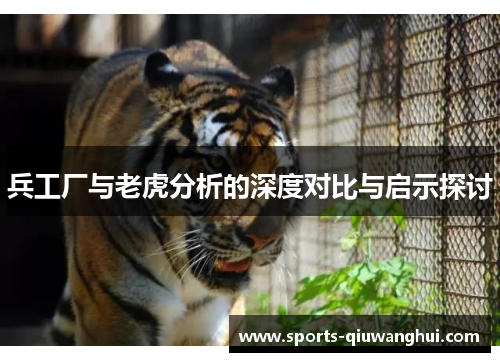 兵工厂与老虎分析的深度对比与启示探讨